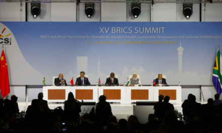 SOMMET DE JOHANNESBURG - Les Brics accueillent six nouveaux pays membres
