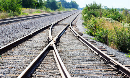 EN COULISSES - Le train va commencer à rouler 72 heures avant le grand Magal