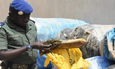 EN COULISSES - 5 dealers tombent à Yène avec 4 kg de chanvre indien