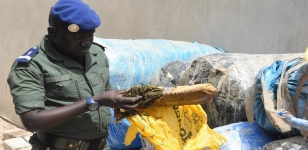 EN COULISSES - 5 dealers tombent à Yène avec 4 kg de chanvre indien