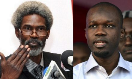 Me CIRE CLEDOR LY SUR LA REINTEGRATION DE SONKO : "Il est temps que l’Etat abdique"