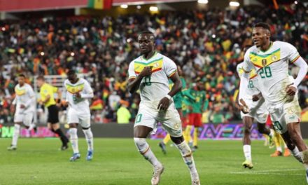 MATCH AMICAL - Sadio Mané dompte le Cameroun (1-0)