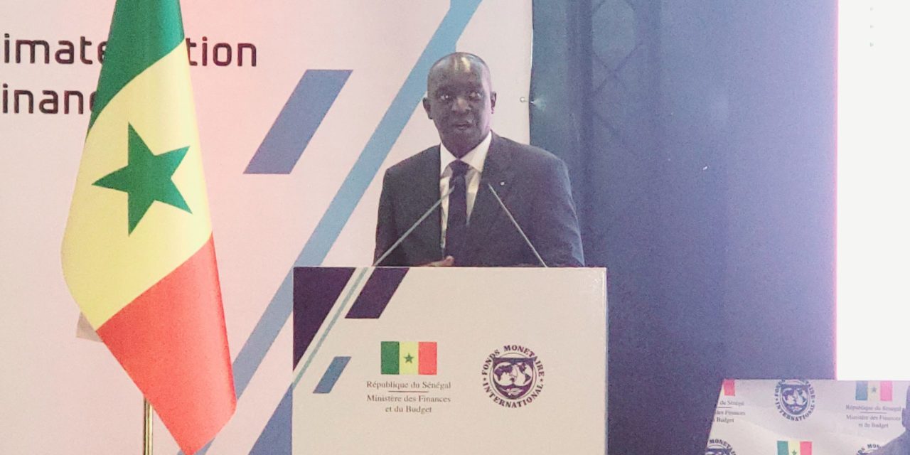 FORUM SUR LE FINANCEMENT DE L'ACTION CLIMAT - Mamadou M. Ba présente la stratégie du Sénégal