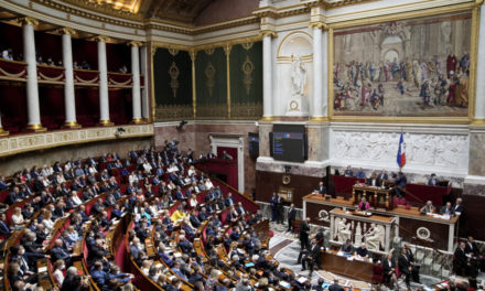 FRANCE - La politique africaine d’Emmanuel Macron dans le viseur des députés