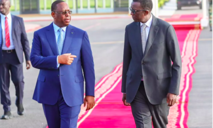 TRANSPLANTATION RÉNALE - Macky Sall pour le  respect strict des procédures