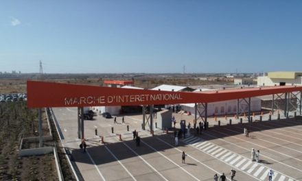 EN COULISSES - Terminus, le Marché de la Gare des Gros porteurs de Diamniadio