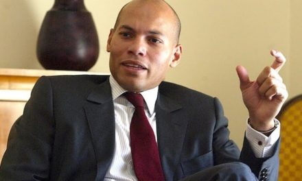 CONSEIL CONSTITUTIONNEL - Karim Wade a déposé sa candidature