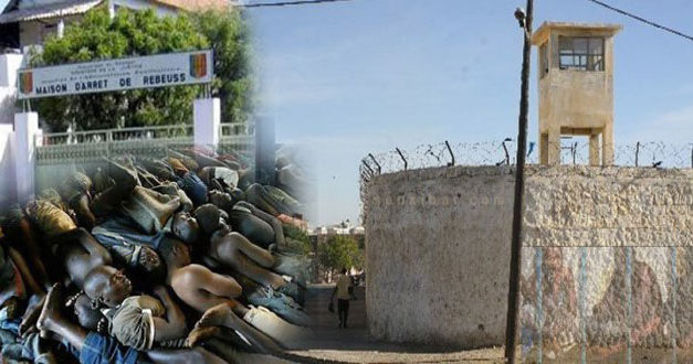 Pourquoi pas une prison agricole au Sénégal ?