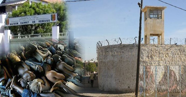 Pourquoi pas une prison agricole au Sénégal ?