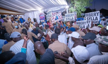 TROISIÈME JOUR DE CAMPAGNE - Depuis Louga, Amadou Ba drague la diaspora