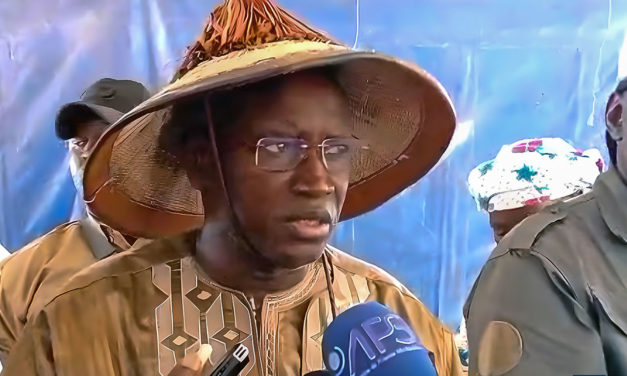 EN COULISSES- Aly Ngouille Ndiaye battu par Diomaye dans son centre