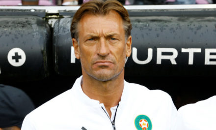 CAMEROUN  Hervé Renard, priorité de la Fecafoot