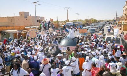 TOURNÉE À BOKI DIALLOBE - L’appel du pied d’Amadou Bâ aux responsables du PDS