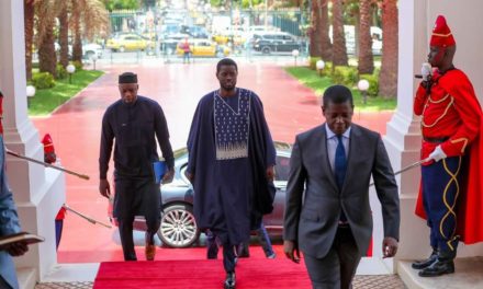 NETTALI TV - IMAGES DU PALAIS - Rencontre entre Macky et Diomaye pour préparer le transfert de pouvoir