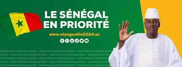 SAISINE DE LA COUR SUPRÊME PAR LE PDS– Aly Ngouille Ndiaye prédit un revers pour les libéraux 