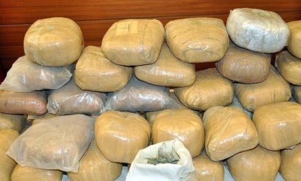 TAMBA - Saisie record de cocaïne d’une valeur de 91 milliards