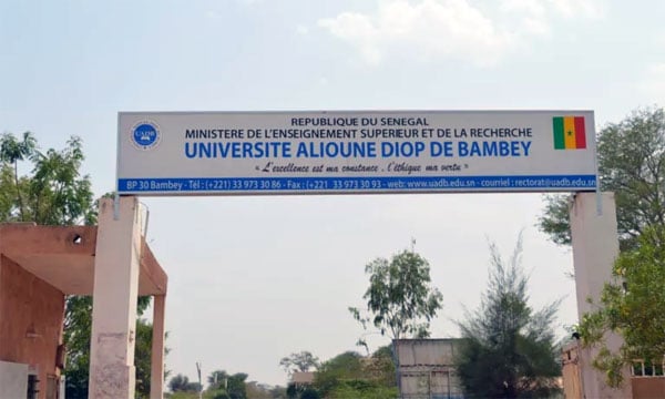 UNIVERSITÉ DE BAMBEY - L’étudiant-imam disparaît avec les 29 millions F CFA de ses camarades