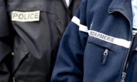 PALAIS DE JUSTICE - Un agent du Gign condamné pour avoir tabassé sa femme policière