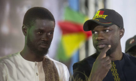 LOI D'AMNISTIE - Il y a un an, Bassirou Diomaye Faye et Ousmane Sonko sortaient de prison