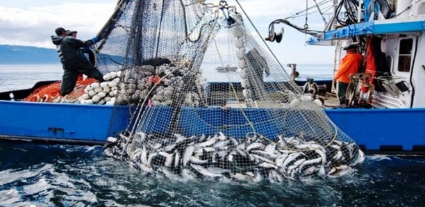 ACCORDS DE PÊCHE ENTRE LE SÉNÉGAL ET L'UE - Le protocole ne sera pas renouvelé