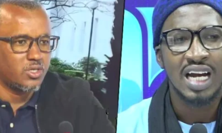 DIFFUSION DE FAUSSES NOUVELLES – Abou Diallo et Oumar Sow condamnés, mais libres...