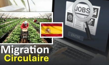 MIGRATION CIRCULAIRE - Les inscriptions en ligne démarrent ce mercredi sur le site du BAOS