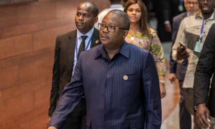 MEDIATION SUR UNE DATE DES ELECTIONS - Une délégation de la Cedeao, forcée de quitter Bissau