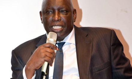 AFFAIRE MADIAMBAL DIAGNE - Confirmation de la peine en appel pour diffamation