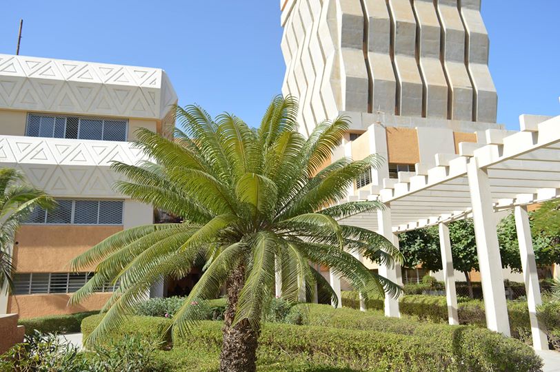 ENSEIGNEMENT SUPÉRIEUR - Deux consécrations pour l'UGB