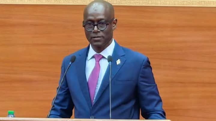 THIERNO ALASSANE SALL : "C’est la première fois qu’une loi protège ouvertement des criminels au détriment de leurs victimes "
