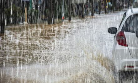 MÉTÉO - Des orages et pluies d’intensités variables à partir de vendredi