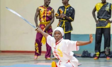 KUNG-FU/OPEN INTERNATIONAL DES CLUBS - Ninchuan NGB survole le Tatami avec 8 médailles dont 5 Or
