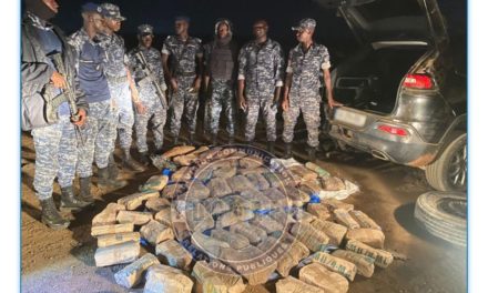THIÈS - Une importante quantité de chanvre saisie par la Gendarmerie
