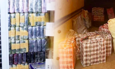 TRAFIC DE DROGUE - Plus de 600 kg de cocaïne saisis à Rufisque