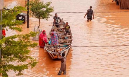 FLEUVE SÉNÉGAL - La cote d’alerte dépassée à Bakel