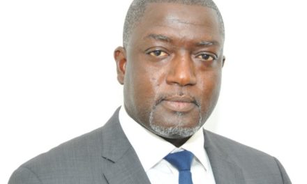FONSIS : Pape Demba Diallo, nouveau directeur général