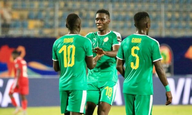 EQUIPE TYPE CAN : les Lions en puissance