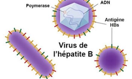 HEPATITE B : Plus de 2 millions de Sénégalais porteurs du virus