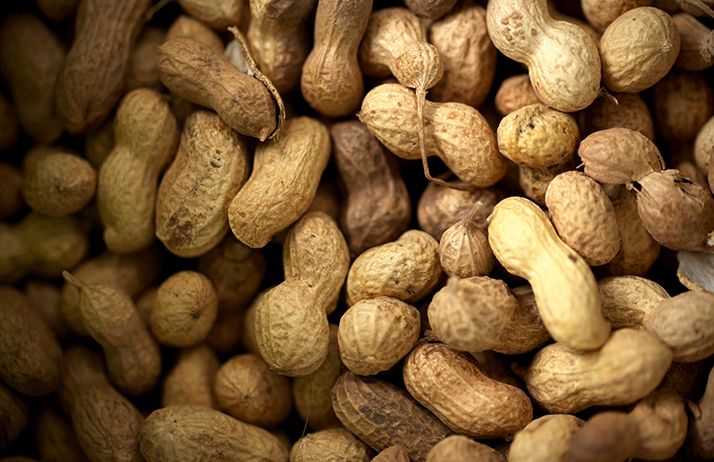 Sénégal : la production d’huile d’arachide cause une perte de revenus, selon la Banque mondiale