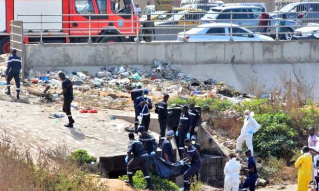 HORREUR AU TECHNOPOLE - Le cadavre d'une femme retrouvé avec les yeux arrachés