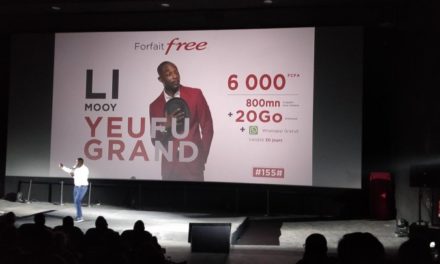 PROMOTIONS - Nouvelle mise en demeure de l'Artp à Free