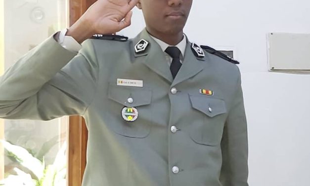 TRAFIC INTERNATIONAL - Saisie de 12 véhicules par la douane