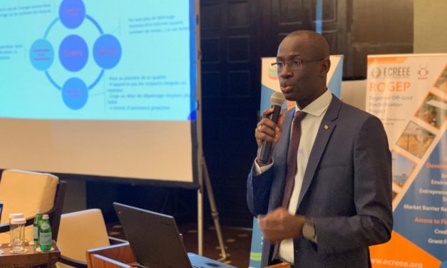 AMADOU LY, DG AKILEE - «La hausse du prix de l'électricité peut se justifier»