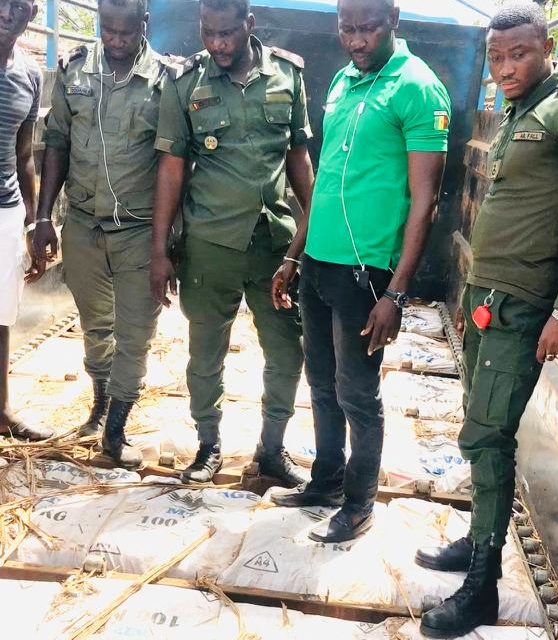 DOUANES - Saisie record de 1076 kg de chanvre indien à Koumpentoum