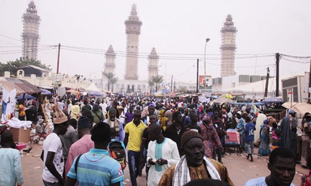 OPERATION KARANGUE – 279 personnes interpellées entre Touba et Mbacké