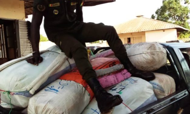 FOUNDIOUGNE - Saisie de 456 kg de chanvre indien