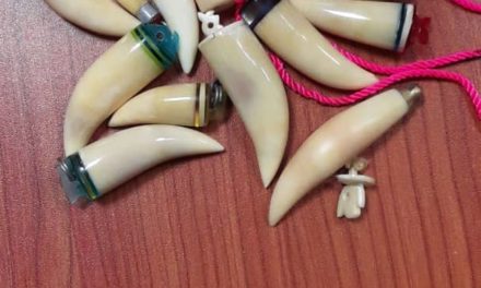 CRIMINALITÉ FAUNIQUE- Deux chinois arrêtés à AIBD
