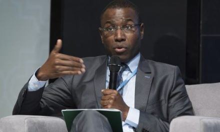ECONOMIE - Amadou Hott annonce une loi sur le partenariat public et privé