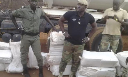 TRAFIC DE DROGUE - Quatre personnes arrêtées avec 170 kg de chanvre indien