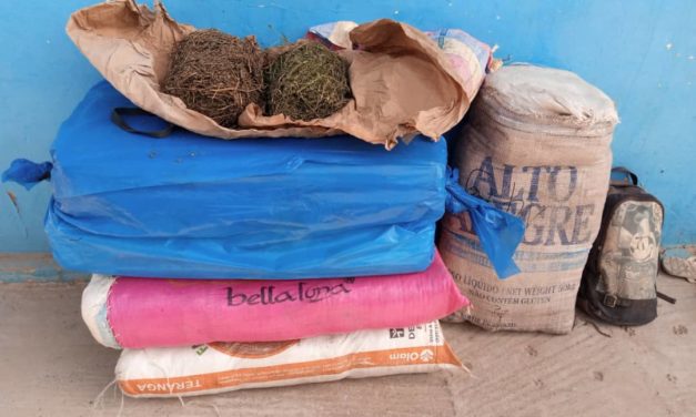 SEDHIOU- 64 Kg de chanvre indien et des produits pharmaceutiques saisis